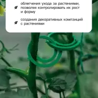 Скрепки садовые для подвязки растений, в наборе 50 шт., пластик, зелёные, Greengo