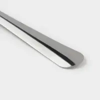 Набор столовых ложек Доляна &laquo;Оптима&raquo;, длина 19 см, набор 12 шт., нержавеющая сталь, серебристый