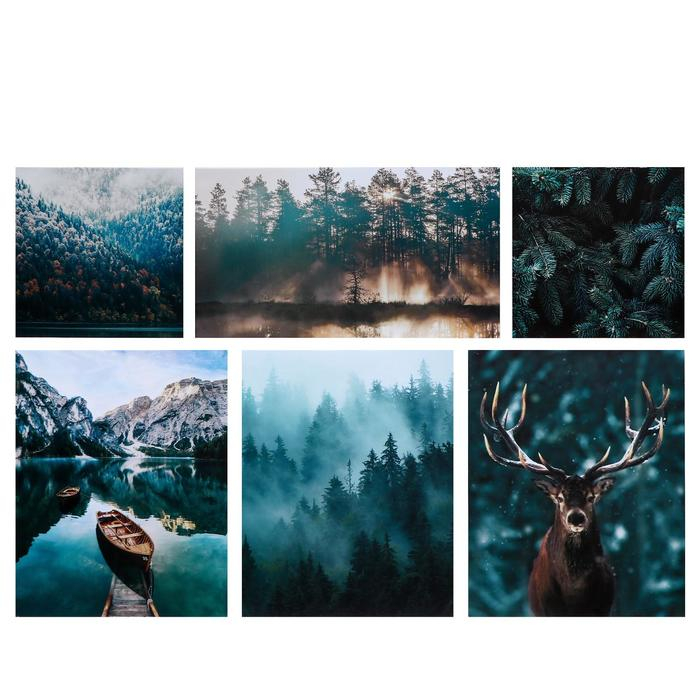 Картина модульная на подрамнике  Картина модульная на подрамнике "Дикая природа" 114х70 см (2-30х30; 3-38х47;  1-30х54)