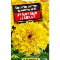 Семена цветов Бархатцы Лимонный великан прямостоячие , Ц/П,0,1 г Семена цветов Бархатцы Лимонный великан прямостоячие , Ц/П,0,1 г