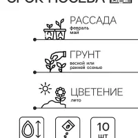 Семена Цветов Клематис тангутский "Снежный человек" ,10 шт , Семена Цветов Клематис тангутский "Снежный человек" ,10 шт ,