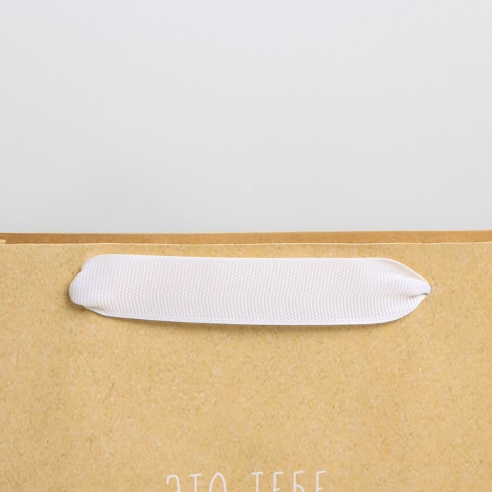 Пакет подарочный крафтовый, упаковка, «Тебе», 22 х 17,5 х 8 см Пакет подарочный крафтовый, упаковка, «Тебе», 22 х 17,5 х 8 см