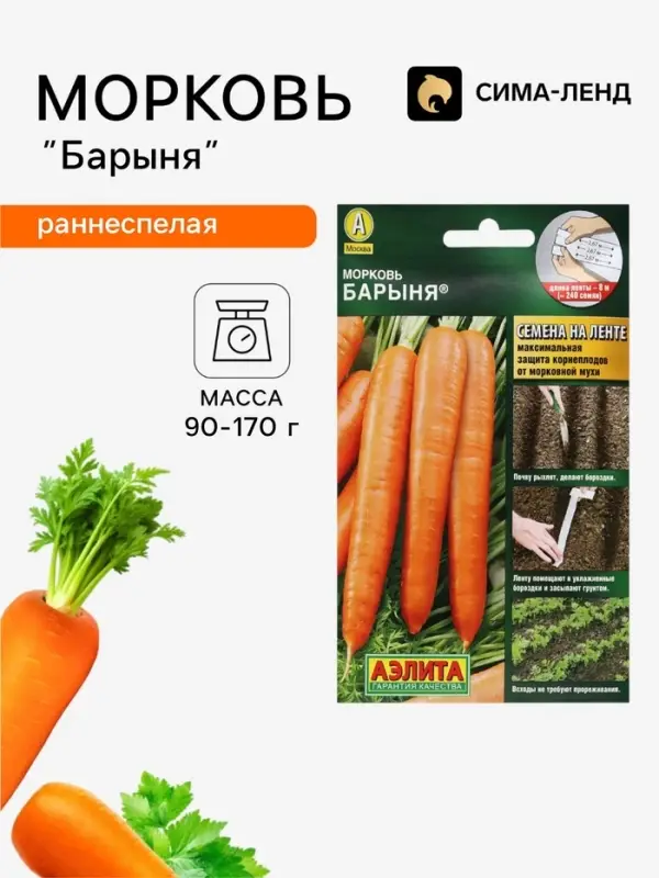 Семена на ленте Морковь &laquo;Барыня&raquo;, 8 м, &laquo;Аэлита&raquo;