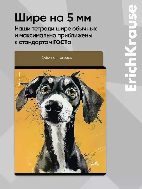 Тетрадь 48 листов в клетку ErichKrause Goofy