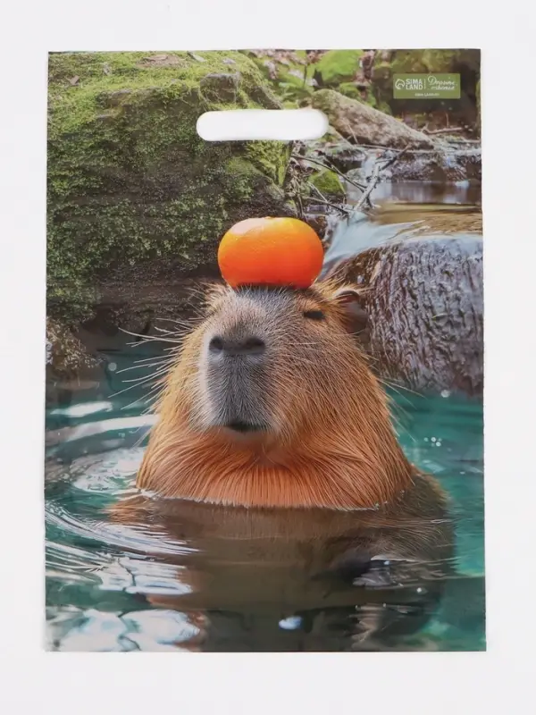 Пакет подарочный &laquo;Капибара&raquo;, полиэтиленовый с вырубной ручкой, 30&times;40 см 50 мкм