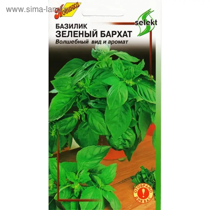 Семена Базилик "Зеленый Бархат" select,  120 шт