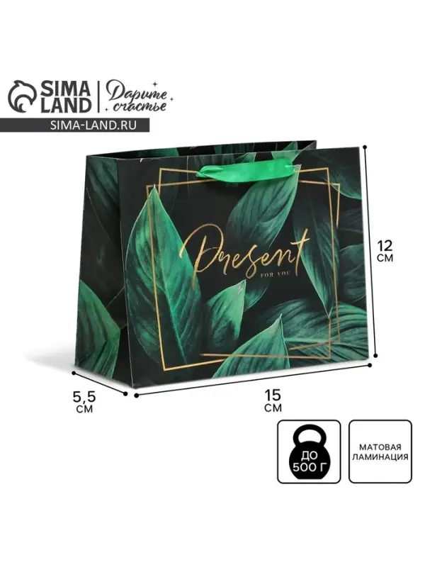Пакет подарочный ламинированный, упаковка, Present for you, S 15&times;12&times;5.5 см