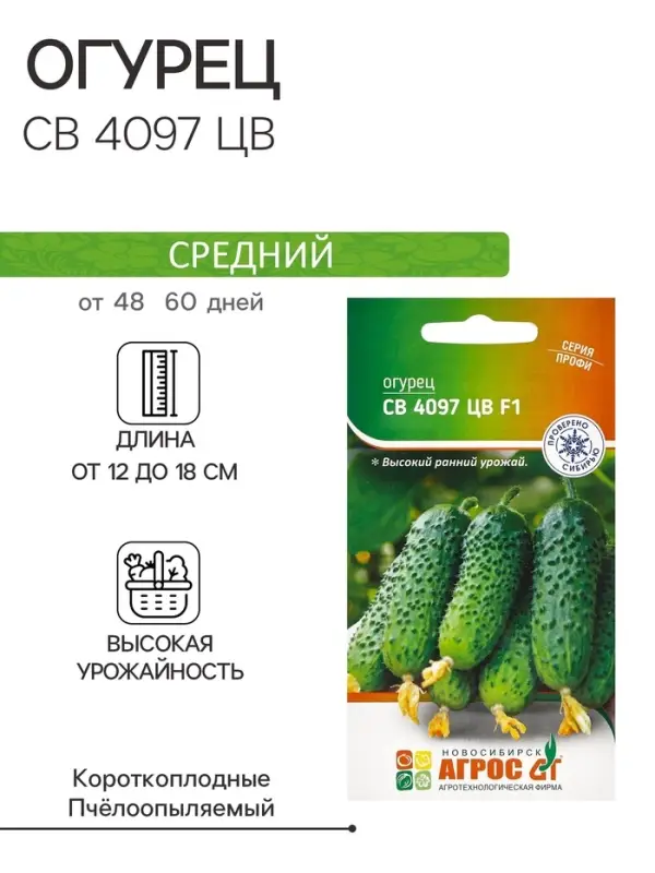 Семена Огурец, &laquo;СВ 4097 ЦВ&raquo;, F1, 8 шт., Seminis, &laquo;Агрос&raquo;