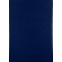 Книга регистрации посетителей А4, 96л, обл бумвинил