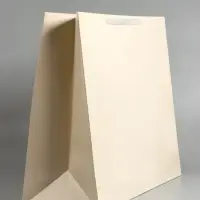 Пакет ламинированный горизонтальный "Молочный", XXL 61 х 46 х 20 см Пакет ламинированный горизонтальный "Молочный", XXL 61 х 46 х 20 см