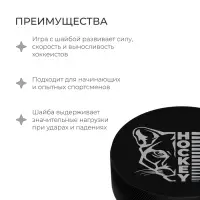 Шайба хоккейная Winter Star, взрослая, d=7.6 см