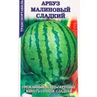 Семена Арбуз &laquo;Малиновый сладкий&raquo;, 0.5 г, среднеранний &laquo;Золотая Сотка Алтая&raquo;