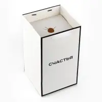 Переноска для цветов с вкладышем для фиксации, &laquo;Счастье&raquo;, белый, 35&times;20&times;20 см