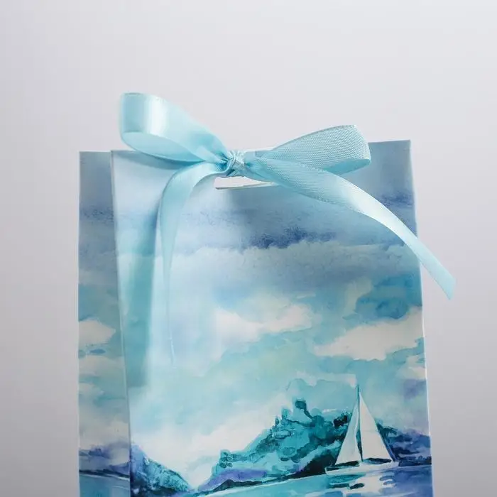 Пакет подарочный с лентой, упаковка, «Present for you», 13 х 23 х 7 см Пакет подарочный с лентой, упаковка, «Present for you», 13 х 23 х 7 см