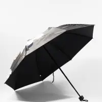 Зонт механический &laquo;Флора&raquo;, эпонж, 4 сложения, 8 спиц, R=48/55 см, d=96 см, МИКС