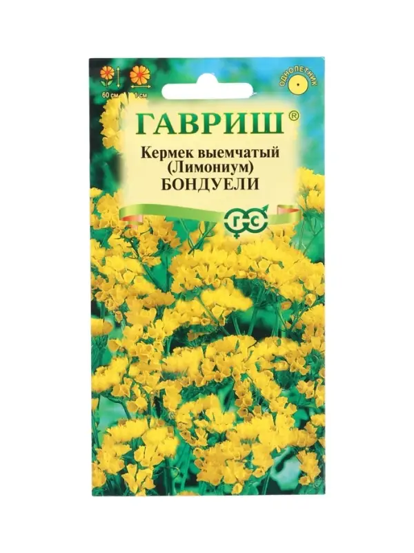 Семена цветов Кермек (Лимониум) выемчатый Бондуели* 0,05 г