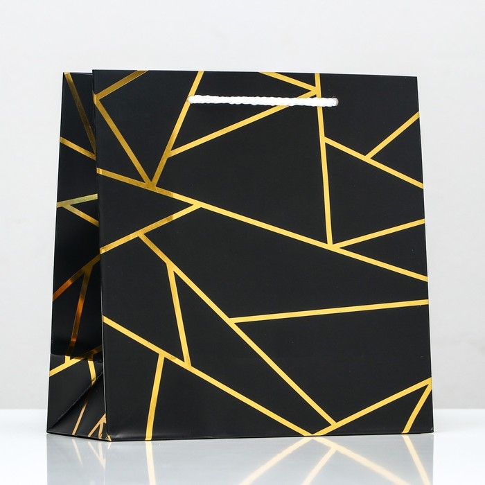 Пакет подарочный «Золотые линии», с тиснением, 22,5 х 23 х 10 см Пакет подарочный «Золотые линии», с тиснением, 22,5 х 23 х 10 см