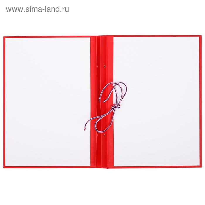 Папка Папка "Выпускная квалификационная работа на степень бакалавра" бумвинил, гребешки/сутаж, без бумаги, цвет красный (вместимость до 300 листов)