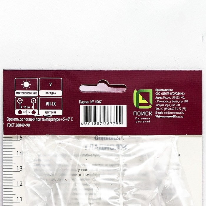 Гладиолус крупноцветковый «Лэннон», луковица цветов в пакете с перфорацией, р-р 10/12, 10 шт.