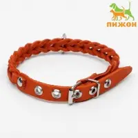 Ошейник, 1.2&times;36 см, ОШ 20-30 см, плетёный, кожа, оранжевый
