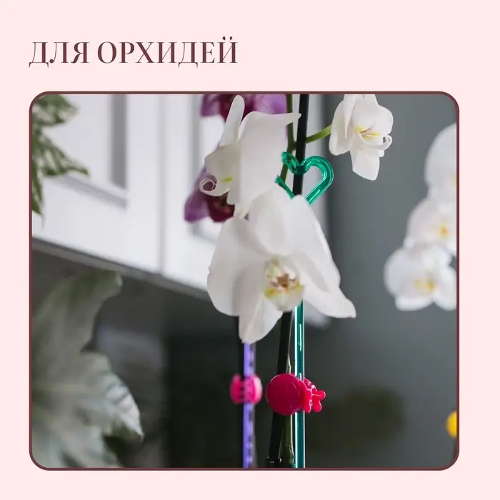 Опора для орхидей, h=44 см, пластик, бирюзовая, МИКС Опора для орхидей, h=44 см, пластик, бирюзовая, МИКС