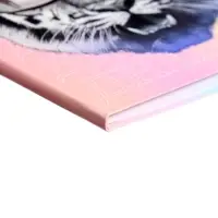 Дневник школьный для 5-11 классов, «Тиг в очках», интегральная (гибкая) обложка, матовая ламинация, выборочный лак, 48 листов Дневник школьный для 5-11 классов, «Тиг в очках», интегральная (гибкая) обложка, матовая ламинация, выборочный лак, 48 листов