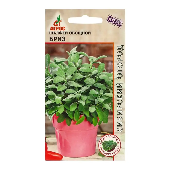 Семена Шалфей Семена Шалфей"Бриз"0.5г*