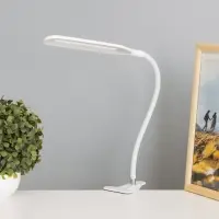 Лампа настольная RISALUX &laquo;Офисный белый&raquo;, светодиодная, на прищепке, от USB, 11&times;7.5&times;60.5 см