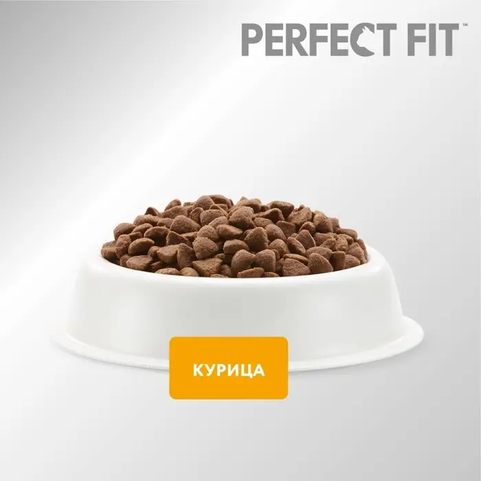Сухой корм Perfect Fit для домашних кошек, курица, 650 г Сухой корм Perfect Fit для домашних кошек, курица, 650 г