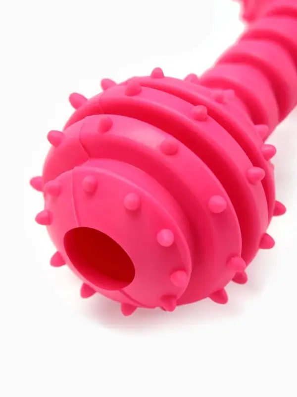 Жевательная игрушка для собак &laquo;Чемпион&raquo;, 12.5 см, TPR, розовая