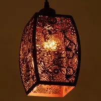 Светильник потолочный BayerLux &laquo;Стрекозы&raquo;, 1&times;40 Вт, Е27, черный, 14&times;14&times;22+100 см