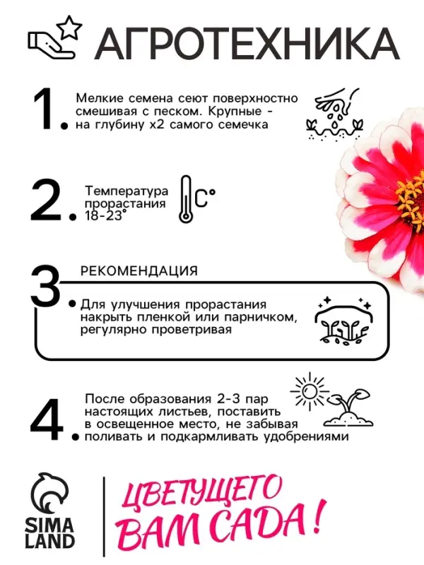 Семена цветов Цинния Захара &laquo;Северная звезда&raquo;, 5 шт., &laquo;Семена Алтая&raquo;