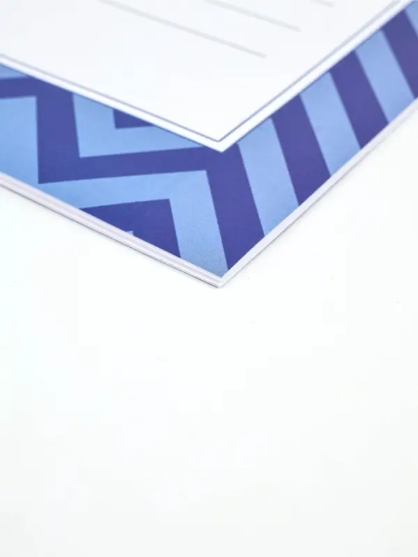 Медицинская карта А4, 16 л. Форма №112/у и прививочный сертификат А6, 12 л "Голубой"