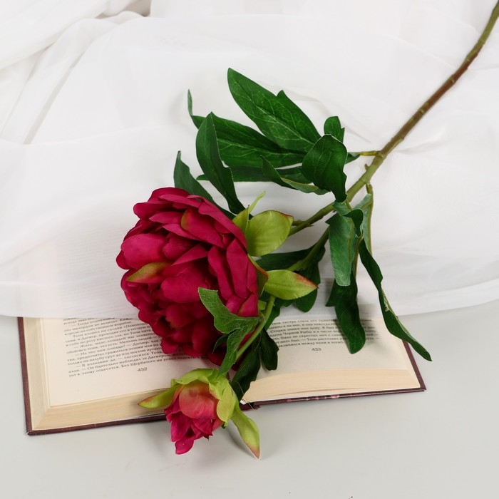 Цветы искусственные Цветы искусственные "Пион дуо" 12х60 см, бордовый