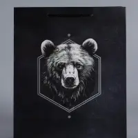 Пакет подарочный "Мужской выбор" ламинированный 26 х 12 х 32 см