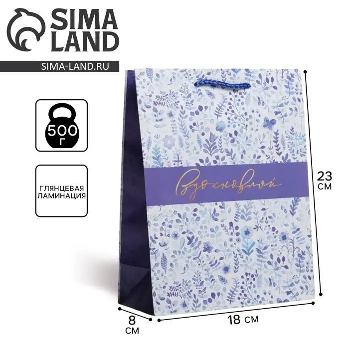 Пакет подарочный ламинированный, упаковка, «Вдохновляй», MS 18 х 23 х 8 см Пакет подарочный ламинированный, упаковка, «Вдохновляй», MS 18 х 23 х 8 см