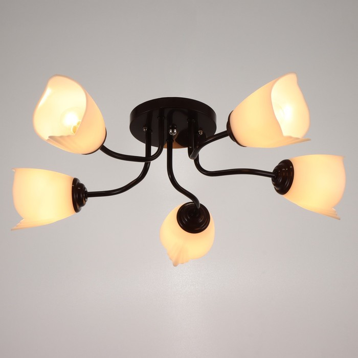 Люстра 1341003/5WT E27 15Вт коричневый BayerLux