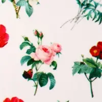 Слайдеры для ногтей «Flowers», разноцветные
