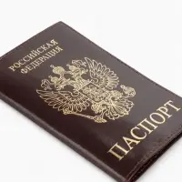 Обложка для паспорта, с гербом, с тиснением фольгой, гладкая, коричневая