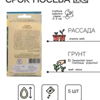 Семена Огурец "Хоббит" F1, раннеспелый, партенокарпический, 5 шт