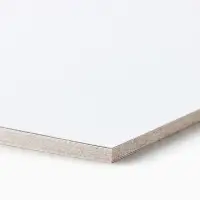 Картон белый А4, 16 листов немелованный односторонний &laquo;Милые питомцы&raquo; 200 г/м&sup2;