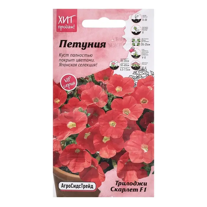 Семена цветов Петуния  Семена цветов Петуния "Скарлет", 5 шт