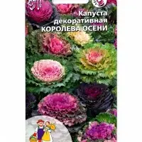 Семена Цветов Капуста декоративная &laquo;Королева осени&raquo; смесь, 0,1 г