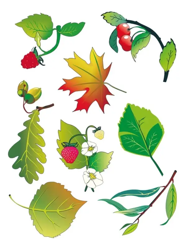 Трафарет - раскраска Calligrata, набор, 6 штук, для мальчиков