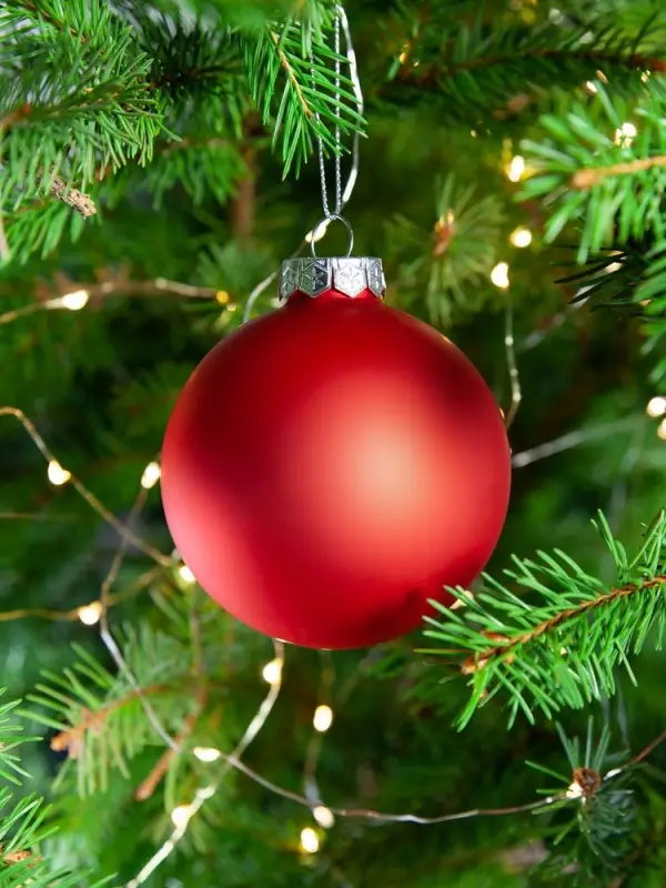 Елочный шар Finery Matt, 8 см, матовый красный Елочный шар Finery Matt, 8 см, матовый красный