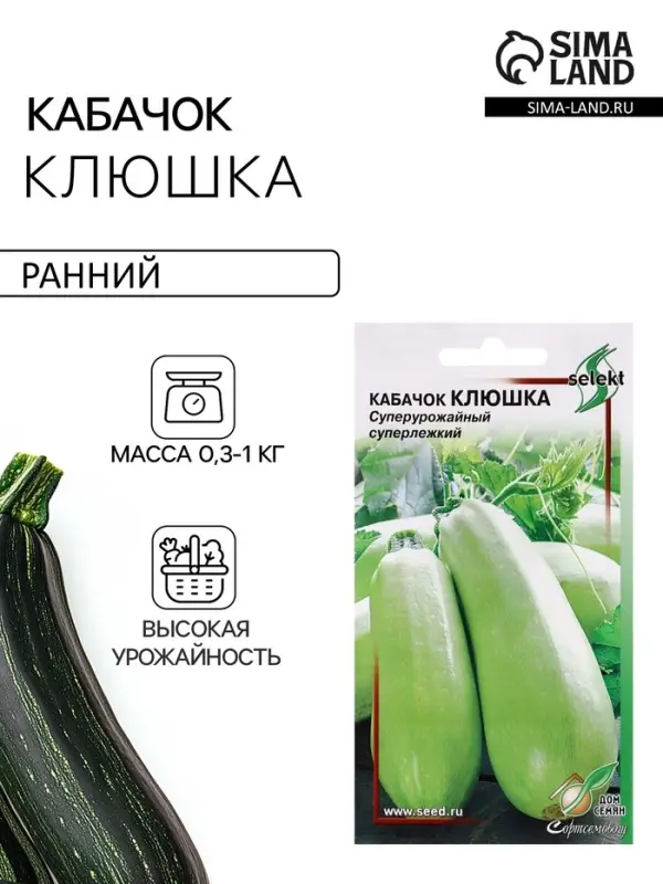 Семена Кабачок Клюшка 14 шт