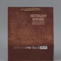Пакет подарочный крафтовый, упаковка, &laquo;Нереальных высот&raquo;, M 25.5&times;30&times;9 см