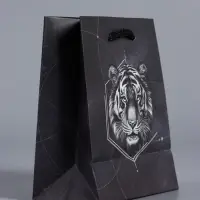 Пакет подарочный "Сила характера" ламинированый 11,5 х 14,5 х 6,5 см