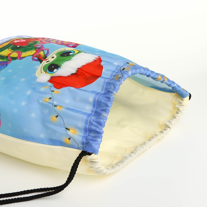 Новый год 2025. Новогодний мешок для подарков на шнурке «Змея», символ года, цвет разноцветный Новый год 2025. Новогодний мешок для подарков на шнурке «Змея», символ года, цвет разноцветный