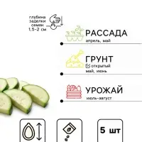 Семена Кабачок &laquo;Грета&raquo;, F1. 5 шт., ультраранний, &laquo;Дом семян&raquo;